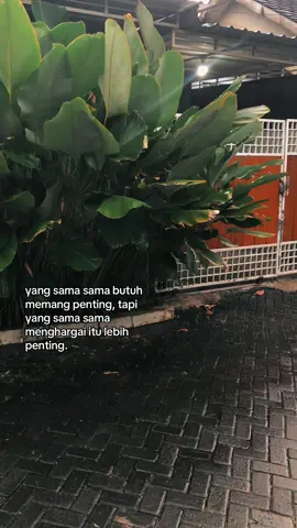 #xyzbca #fyp #galaubrutal #storytime 