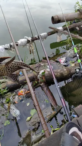 😮‍💨 #fishing #angler #wadukkarangkates 