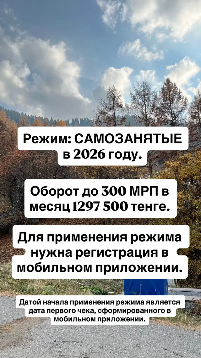 Об утверждении перечня видов деятельности, по которым разрешено применение специального налогового режима для самозанятых. Постановление Правительства Республики Казахстан от 21 ноября 2025 года № 994 Внимание! Самозанятые не могут быть ИП и могут применять СНР только по тем видам, по которым разрешено. Если есть другой вид деятельности - нужно переходить на ИП/ ТОО с другими режимами. #самозанятый #ип #ипрк #налоговыйкодекс2026рк #налогирк 