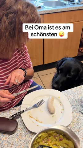 Oma ist eben die beste 😅#hundeauftiktok #Hundeliebe #flatcoatedretriever #hundeliebegrenzenlos 