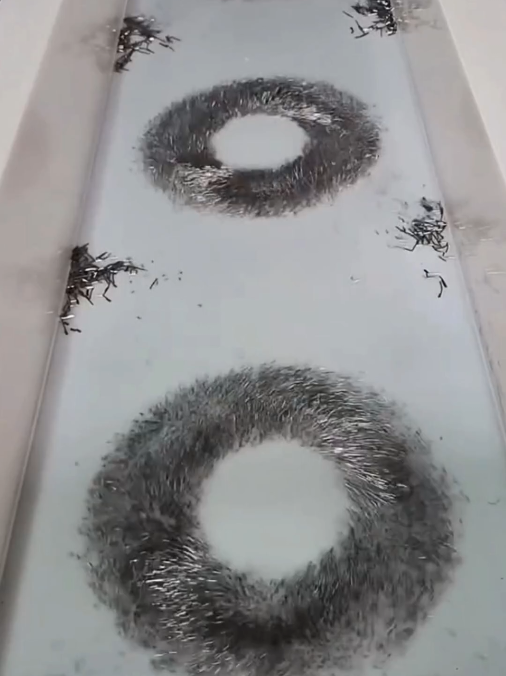 Teknik magnetic polishing digunakan untuk memoles logam dengan jarum-jarum kecil yang digerakkan oleh magnet berkecepatan tinggi. Metode ini mampu membersihkan bagian sempit, sudut kecil, hingga celah rumit yang sulit dijangkau cara biasa. Dipakai untuk perhiasan, komponen mesin kecil, dan part industri presisi. #fyp #viralvideo #Tech #faktaunik #technology 