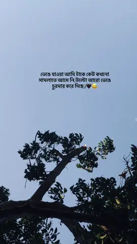 ভেঙে যাওয়া আমি টাকে কেউ কখনো সামলাতে আসে নি.উল্টো আরো ভেঙে চুরমার করে দিছে!                      #foryoypageofficial #biditiktokofical #vairal_video_tiktok_trending #unfrezzmyaccount #fyppppppppppppppppppppppp 