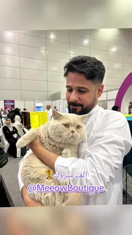 #@Meeow Boutique#الرياض #جده #السعودية #قطط #الخبر  