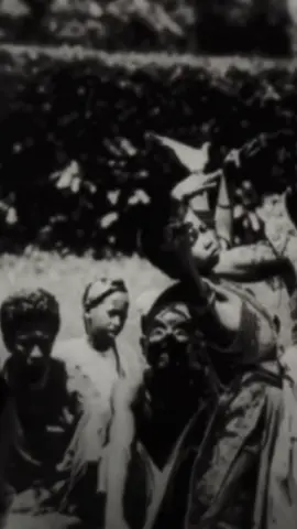 เรื่องที่173|จ้าววังโนราห์...จระเข้ยักษ์ภาคใต้ จระเข้จ้าววังโนราห์ เป็นตำนานจระเข้ยักษ์กินคนที่โด่งดังในอดีต เป็นจระเข้ตัวใหญ่และดุร้ายมาก ถูกจับได้ที่คลองอิปัน จังหวัดสุราษฎร์ธานี และนับเป็นหนึ่งในจระเข้ยักษ์ที่ใหญ่ที่สุดที่เคยจับได้ในประเทศไทย   cr.แอปแดงช่อง เรื่องเล่าหลังเที่ยงคืนEP55. #น่ากลัว #จระเข้ยักษ์ #น่ากลัว #คดีดัง #จ้าววังโนราห์ 