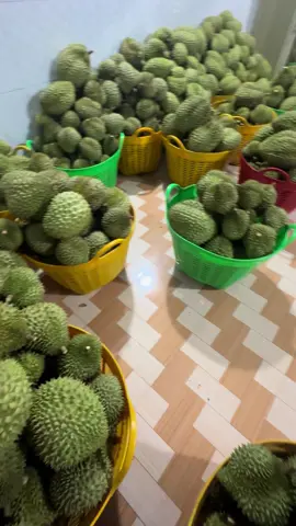 Đứa con tinh thần 😍😍😍 #thịnhhanhtiktok #xuhuong #hottiktok2025 #xuhuongtiktok #durian 