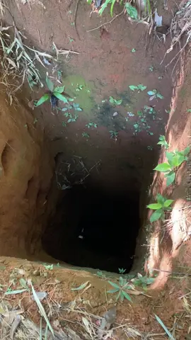 Được hôm dẫn mấy anh đi dạo#cty🌱 #laos🇱🇦 #gabuonphien🇻🇳🇱🇦 