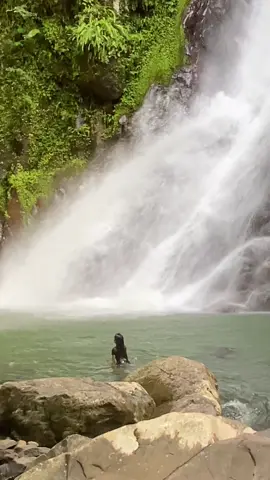 #murut #airterjunmartinbila #fyp 