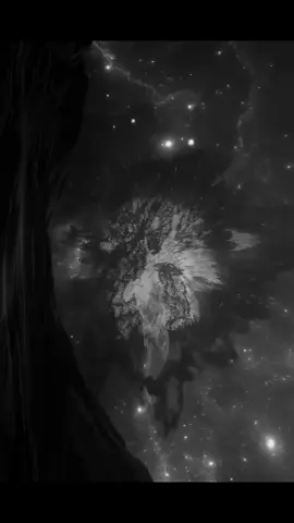 #تصميم_فيديوهات🎶🎤🎬 #عبارات_جميلة🦋💙  #🥹💘🦋 