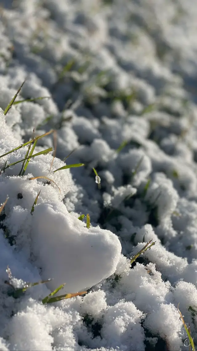 #tiktok #setif #fyp ❄️☃️🌨️🤍✨