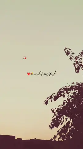 میں ماڑیاں دے وچ چنگا ہاں۔🥹❤️‍🩹🥀 #100k #aesthetic #poterylover #growmyaccount #fypシ゚viral🖤tiktok 
