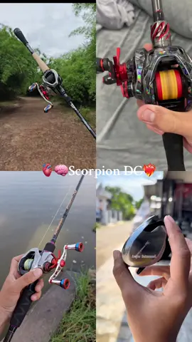 🫀🧠 Scorpion DC ❤️‍🔥❤️‍🔥#shimanofishing #scorpion #DC #shx #horai 