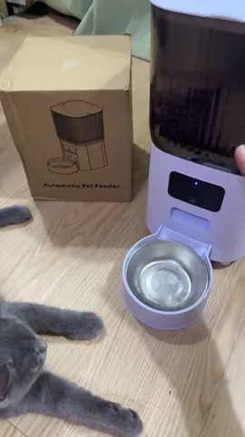 #fyp #creatorsearchinsight 