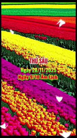 Chào Ngày Mới #ngaymoivuive 