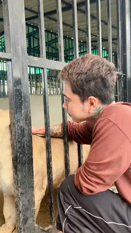 วันนี้ไอ้พงษ์โดนไปหนึ่งกรุบ🤣🤣🤣 #มเหส #ปาเกมส์พี่หนิง #สรพงษ #หนง #ครักสายฮา    