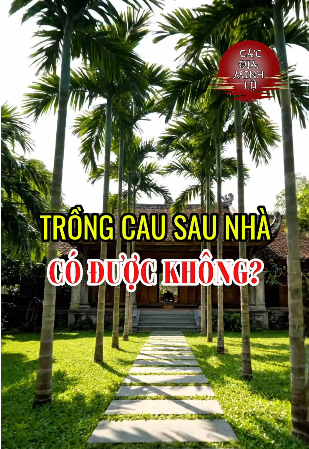 Trồng cau sau nhà có phạm phong thủy không? Hóa ra đúng chỗ còn giúp tăng tài khí, giữ vững hậu trạch. Nhà gần ao – hồ – kênh rạch thì càng nên biết điều này! #phongthuy #trongcay #caycau #caychuoi #nhadep 