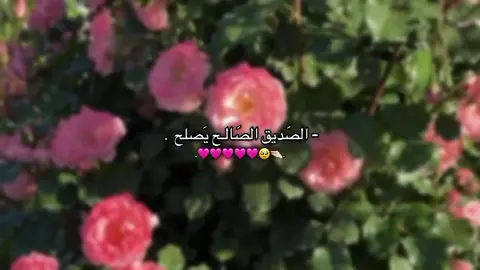 - صِرنة مَثل 🩷🥹.  #شيعة_الامام_علي_عليه_السلام 