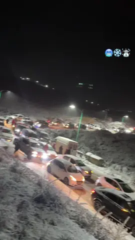 #شعب_الصيني_ماله_حل😂😂😂😂🤦 #cupra ##faye_malisorn #المغرب🇲🇦تونس🇹🇳الجزائر🇩🇿اكسبلور_تيك_توك🥀 #مقرس🥶🥶🏔️🏔️ 