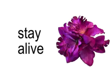 #speedsong #speedupsongs #nightcore #lyrics #fyp  @speed songs | lyrics 