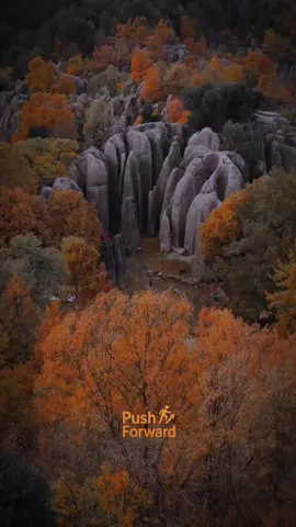 the greatest strength you can have #citation #conseil #motivation #quotes #english 