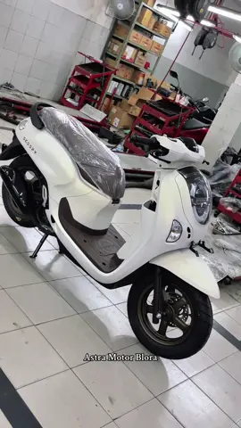 aslinya cakepp pollll😍 stock ready, info pemesanan bisa cusss dm mimin yaaa🥰🙏🏻 #scoopy #honda #fyp #foryou #blora24jam 