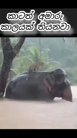 හැමොටම අමාරු කලයක් ..