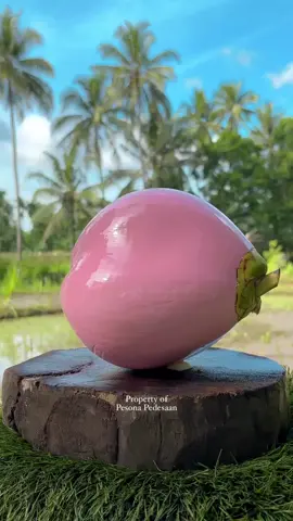 Pink Rose Coconut 🌸 #reels #coconut #asmr #fruits 