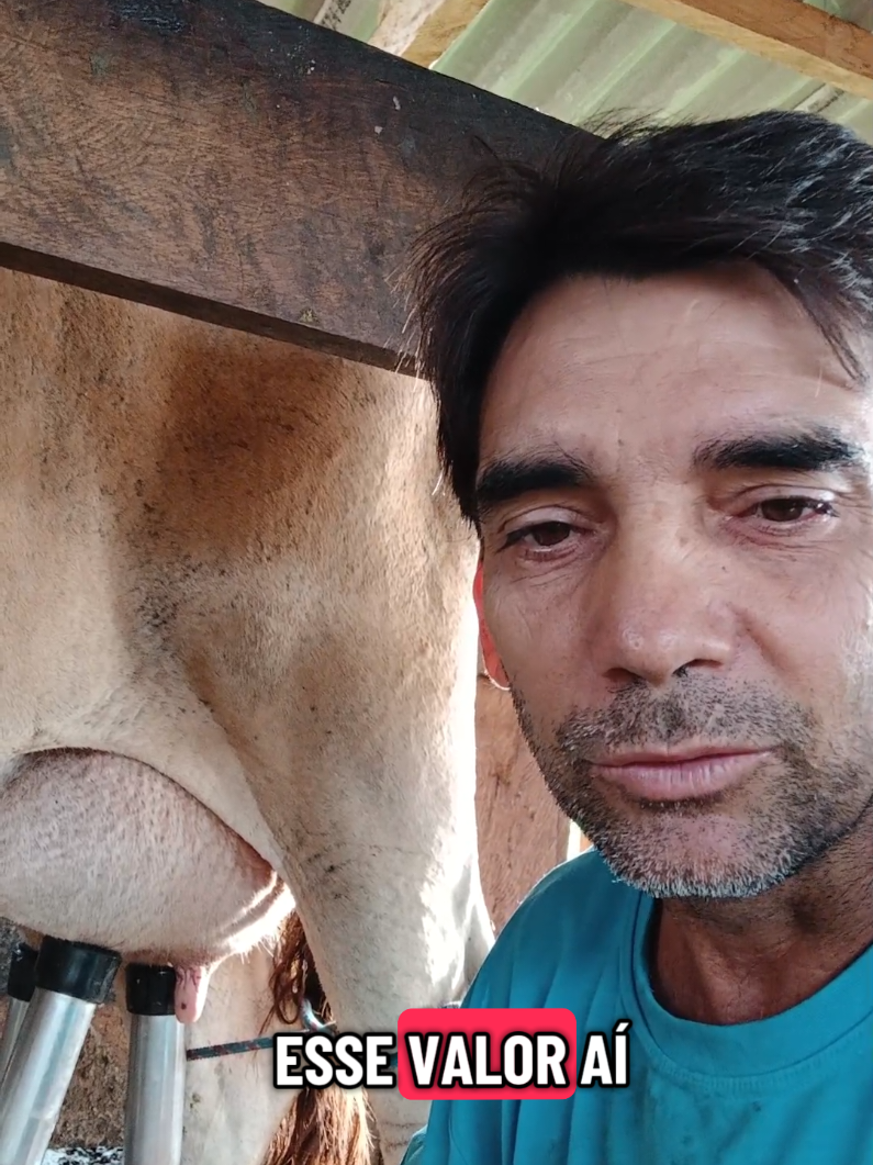 Preço do leite na minha Regiao de Rondonia#leite #preço #rondonia #registrodevida 