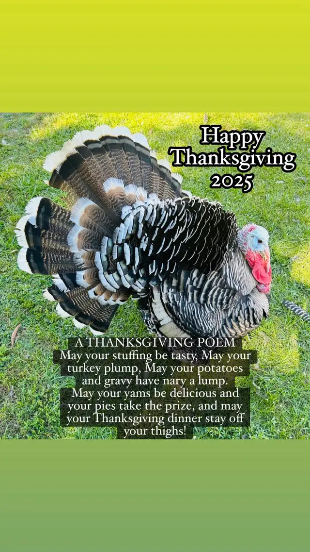 Happy Thanksgiving, friends!