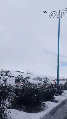 #مسيلة_بوسعادة_برج_سطيف_48ولاية❤ #مقرة #شعب_الصيني_ماله_حل😂😂 #الجزائر🇩🇿 