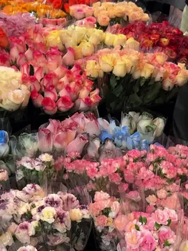 Flowers 💐✨ #reels #fyp #sunset 