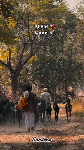 #sandeep #sdeep #tik_tok 