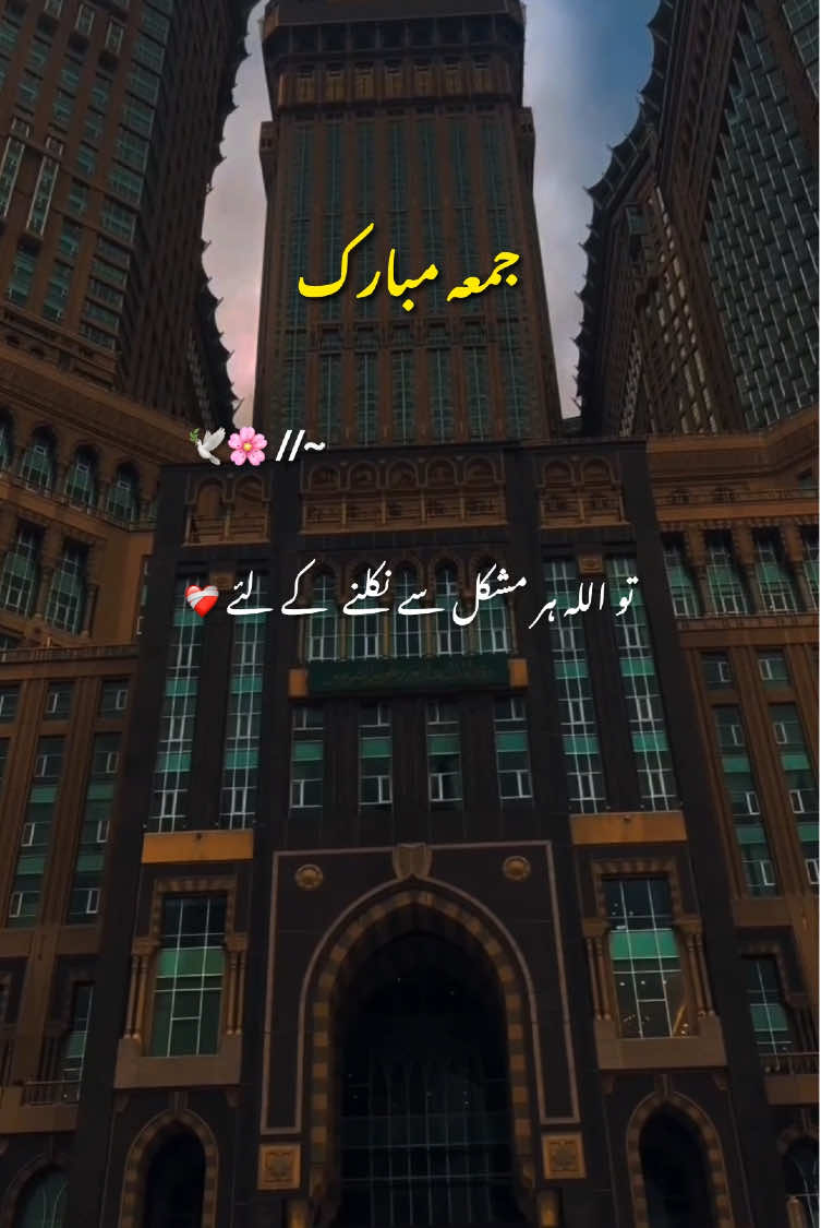 Friday Status 🌙🌸🕊️ || Jummah Mubarak 🌼🤲🏻 || Jummah Status 🕊️🍂 || Jummah Mubarak new status video ✨ #friday #jummahmubarak #statusvideo #jummamubarakstatus #fyp 