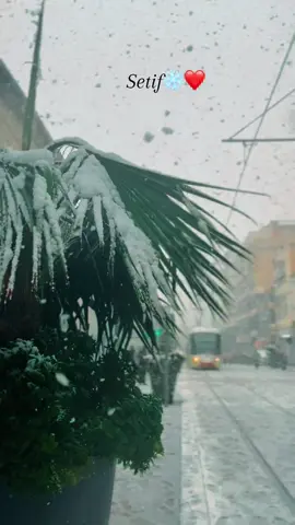 #setif______19 ❄️❤️