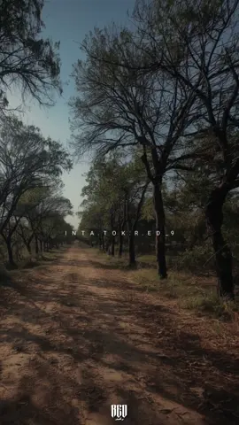 😁الناس يلي تبي ع عمام.  لفنان مراد المعتمد ،