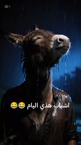 حال اشباب هذي اليام معا هذا الفلتر 😂هه اشعب، اصيني، ماله حل هه