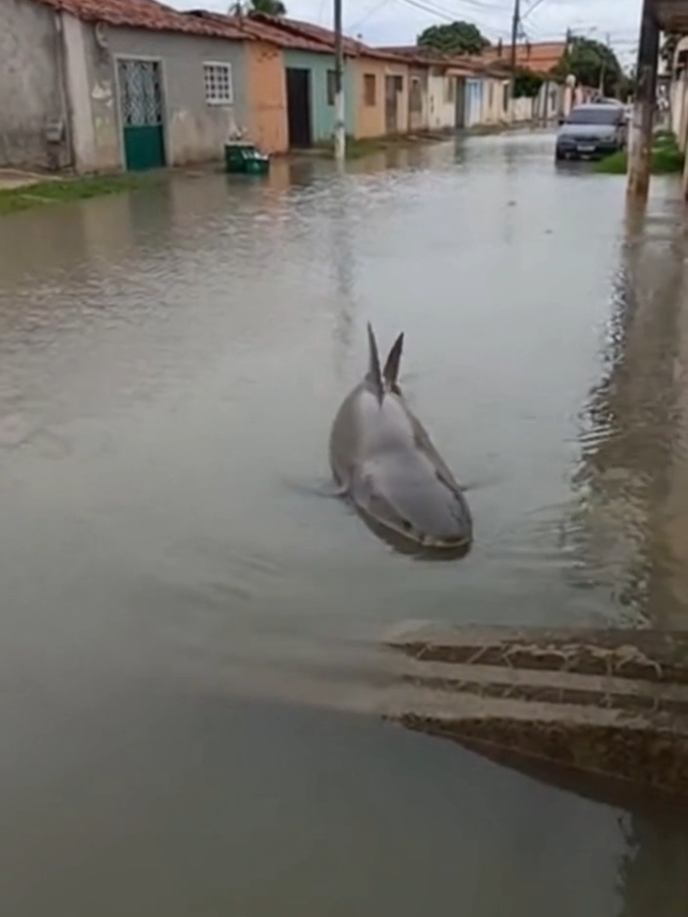 #SO #entretenimiento #chuvasnabahia #enchentes #temporal #foryou #taiwan #fyp