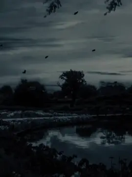 #CapCut #dianastemplate #fypage #quote #fypシ゚ 