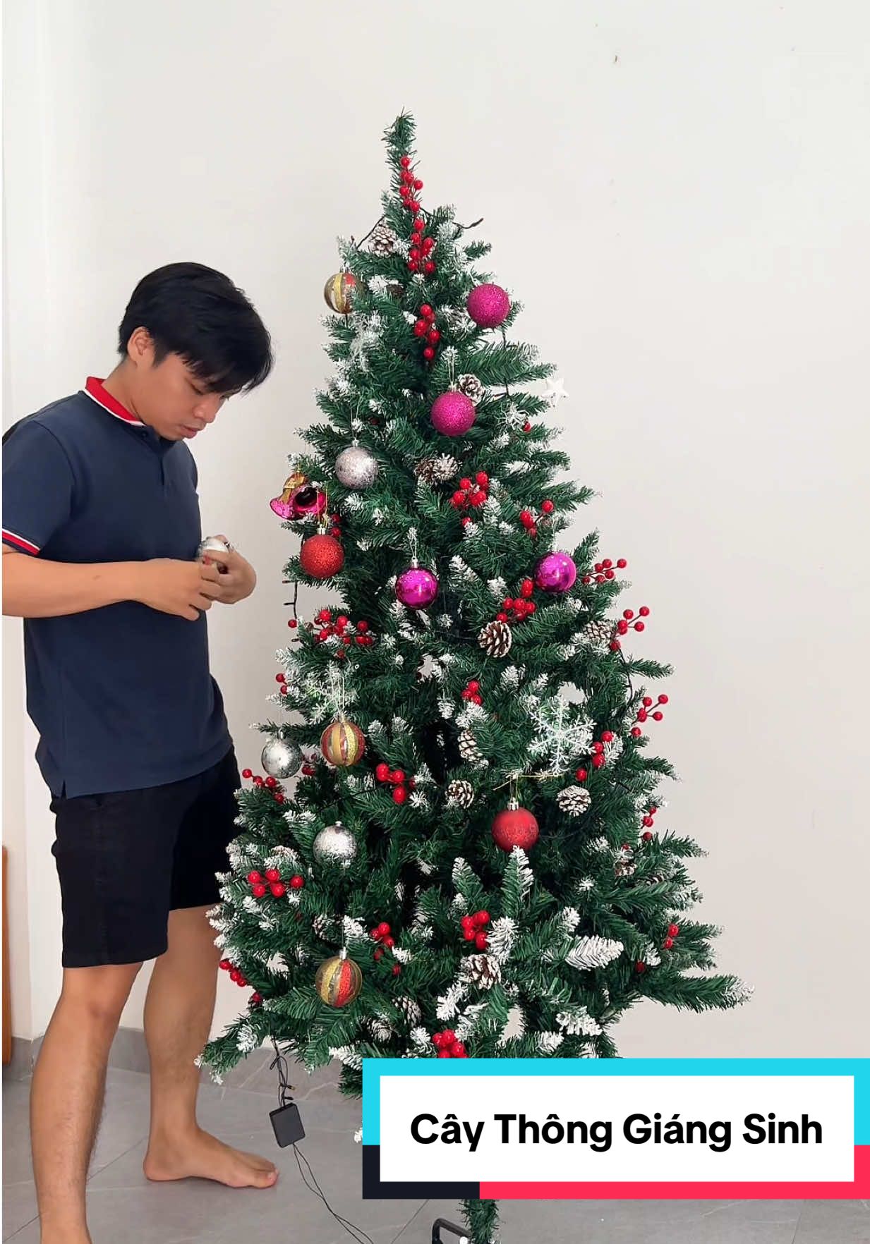 🎄Rực Rỡ Giáng Sinh Về – Cây Thông Trang Trí Siêu Đẹp 🎅🏻 #giangsinh #noel #caythongnoel #thanhtai197 #review 