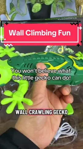 Wall-climbing Remote Control Gecko toy with glowing eyes and smooth movement for indoor fun. #tiktokmademebuyit #tiktokshop #ttshop #geckotoyfun #kidsgiftideas