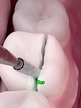 #Science #wissen #unglaublich #germany #truestory 