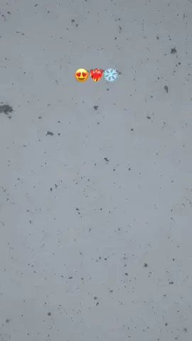 #setif______19سطايفي_يا_خالي #❄️❄️❄️❄️❄️⛄️⛄️⛄️⛄️⛄️🎄🎄🎄🎄🎄🎄🎄🎄🎄🎄🎄🎄🎄🎄🎄🎄🎄🎄 