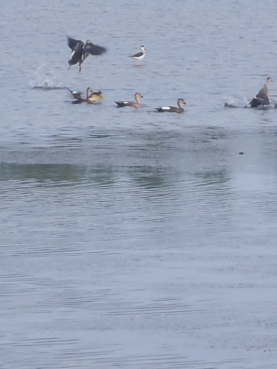 hàng tuyển chọn #taihuynh #viraltiktok #ft 