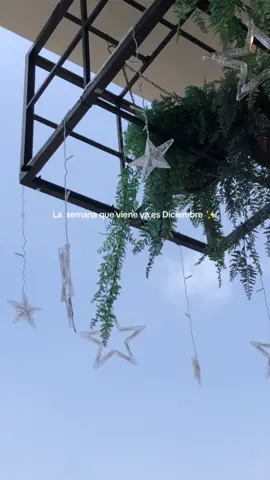 #diciembre #navidad2025 #fy 
