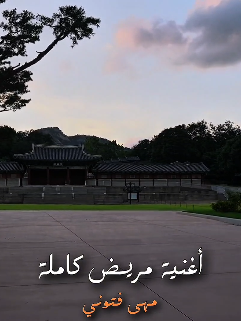 أغنية مريض كاملة #اغاني #مها_فتوني #موسيقى #foryou #fyp 