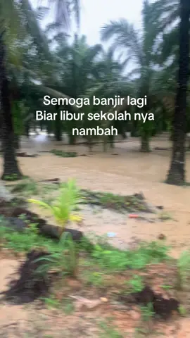 #lewatberandafyp #fyp #banjirlangkat 