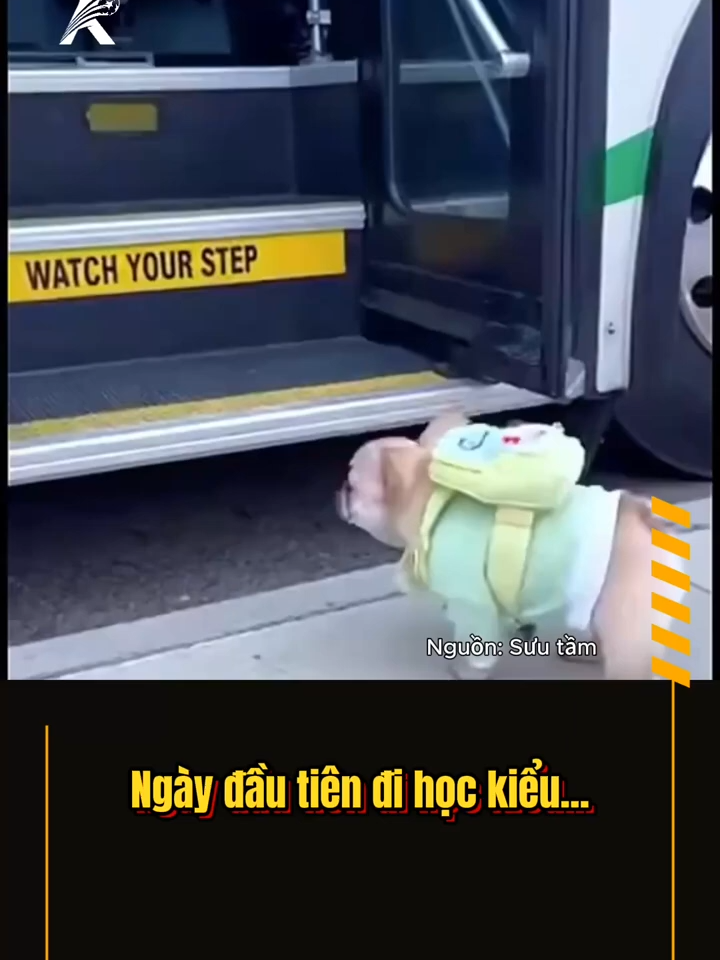 Cười xỉu thanh niên ngày đầu đi học  - Clip hài hước #funny #memes #keolive #giaitri #haihuoc