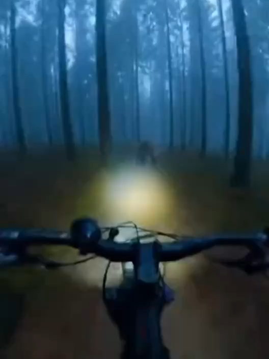 兄弟们，户外遇到下头熊了，怎么办很急！