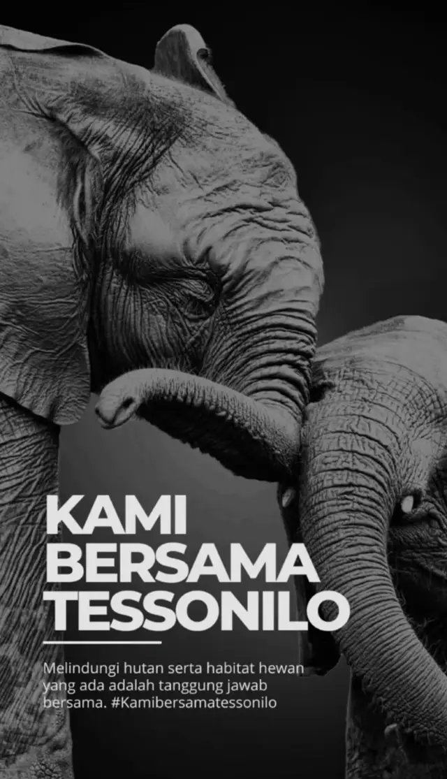 #savetesonilo #kamibersamatessonilo #lindungihutan #savegajahsumatera 