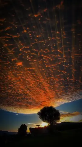 #CapCut #turjumansomali #قال_جحا_في_ذات_نهار 