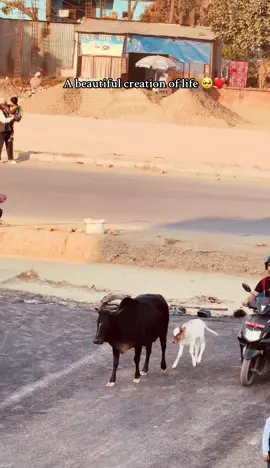 Three generation in one frame ❤️